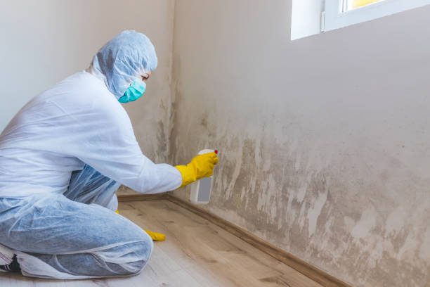 Licensed Crawl Space Mold Removal service in Saddle River, NJ - WQB Mold Removal