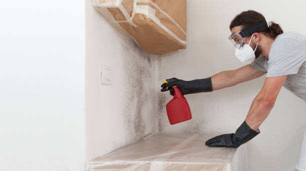 Professional Crawl Space Mold Removal technician working in Saddle River, NJ