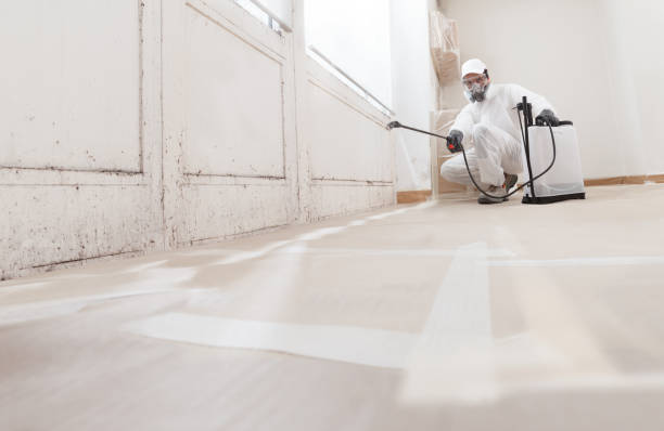 Trusted Crawl Space Mold Removal service in Saddle River, NJ - WQB Mold Removal