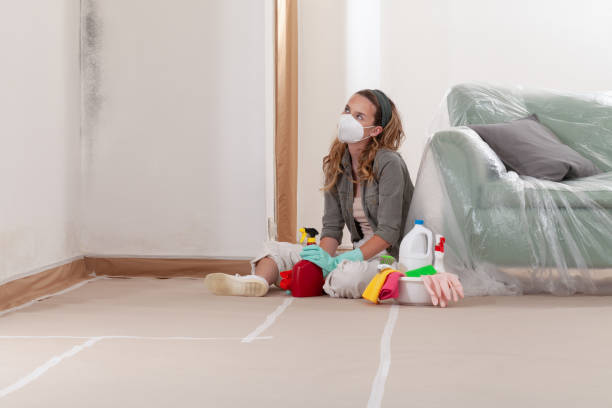 Reliable Crawl Space Mold Removal contractor in Saddle River, NJ by WQB Mold Removal